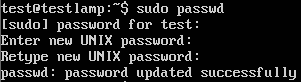 set-ubuntu-root-password